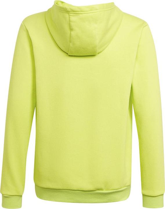 Actual product image adidas Entrada 22 Sweat Hoodie (116)