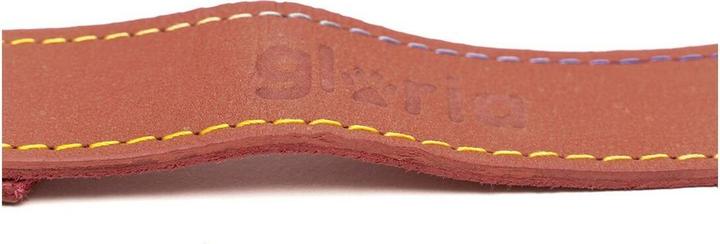 Produktbild Gloria Hundeleine Oasis 1.5 x 100 cm Rot (Hund, Hundesport)