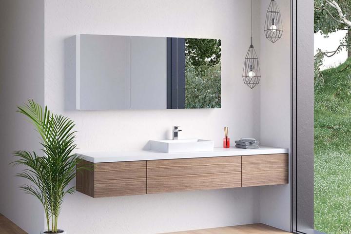 Produktbild Schneider EASY Line Comfort Spiegelschrank, 2 Doppelspiegeltüren, 100x70x12cm, 177.100. (99.50 x 12 x 70 cm)
