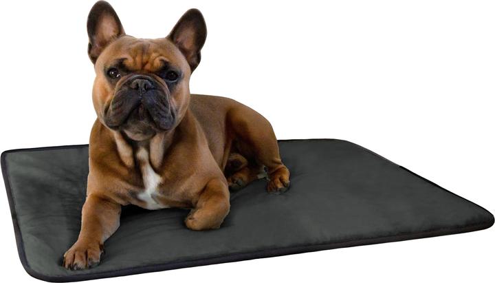 Actual product image Aspero Dog blanket Lund - 8613 (Dog)