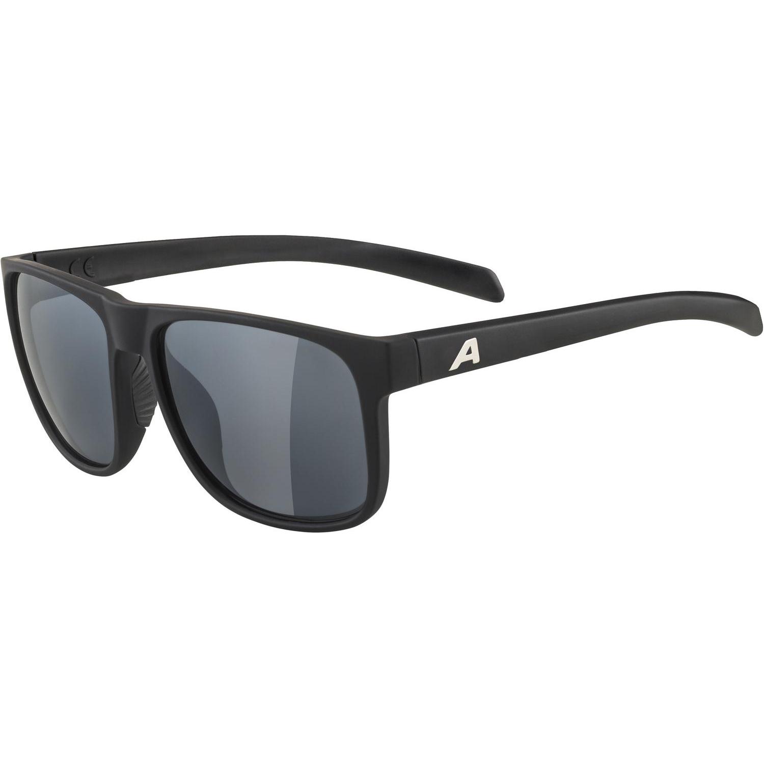 ALPINA SPORTS, Herren, Sonnenbrille, Nacan III