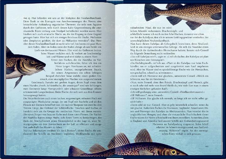 Image du produit 20 000 Meilen unter den Meeren (Allemand, Albert Bartel, Volker Dehs, Jules Verne, 2023)