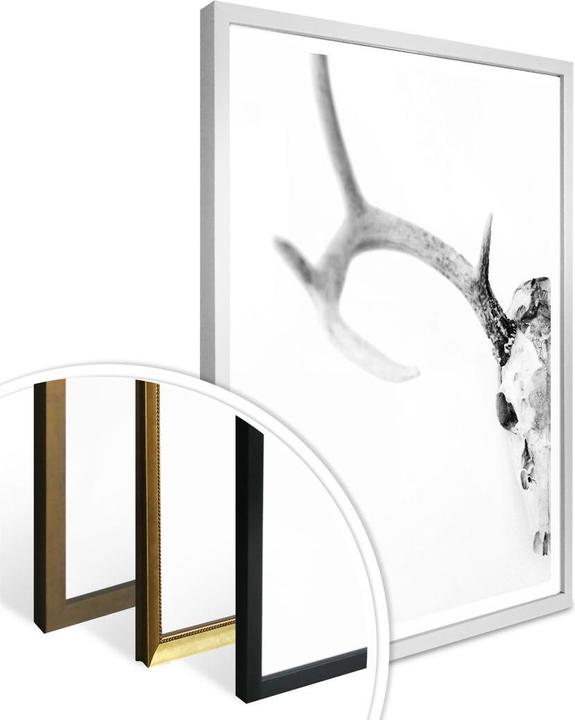 Image du produit Trenddeko Crâne de cerf (40 x 50 cm)