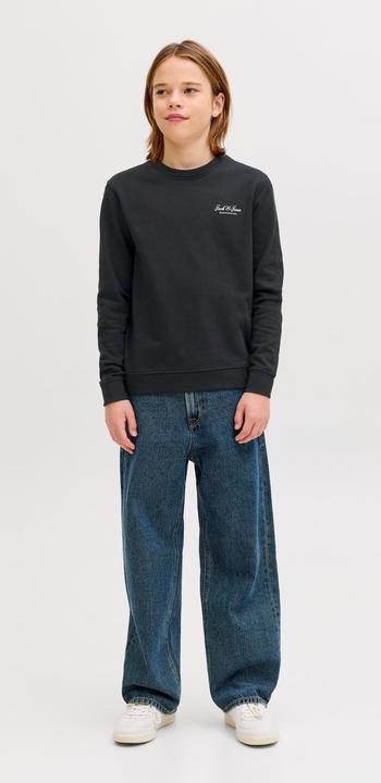 Produktbild Jack & Jones Jjearchive Graphic Sweat Cn Sn Jnr (164)