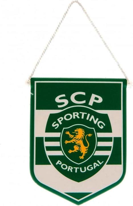 Produktbild SCP Wimpel