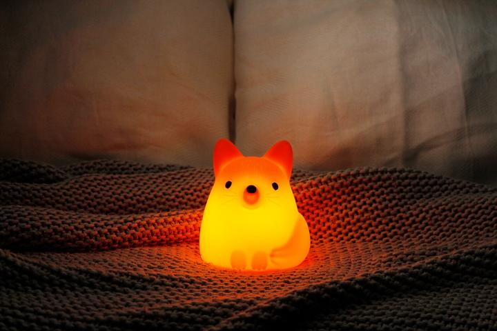 Immagine prodotto Winkee - Fox Night Light - orange