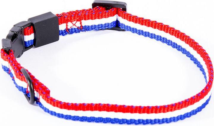 Produktbild Martin Sellier Hundehalsband (40, Hund, Spazieren)