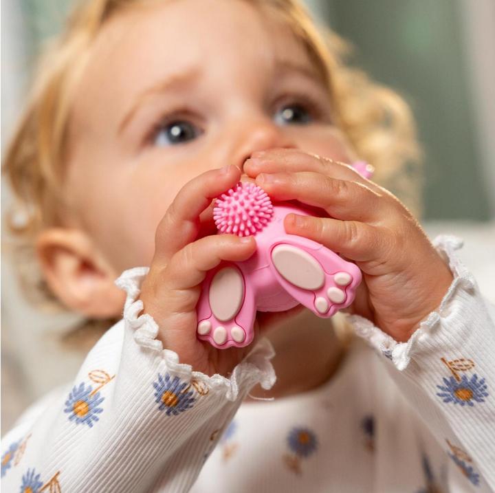 Immagine prodotto Brush-Baby Bobbie Bunny