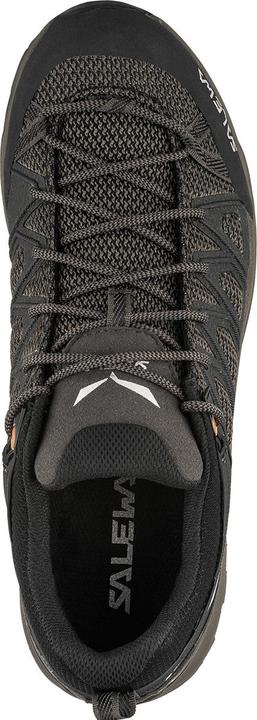 Produktbild Salewa MTN Trainer Lite GTX Schuhe (42)
