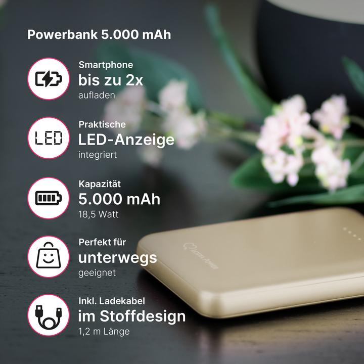 Produktbild Lotta Power Battery Recharger (5000 mAh, 18.50 Wh)