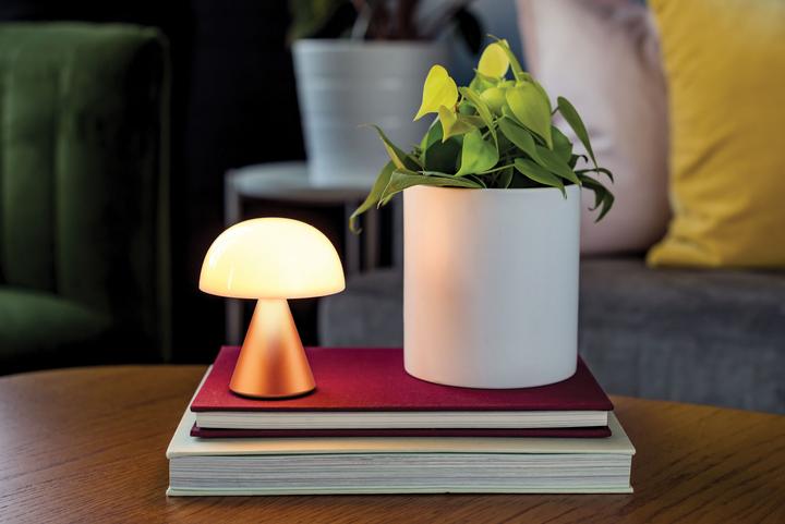 Actual product image Lexon Mina M