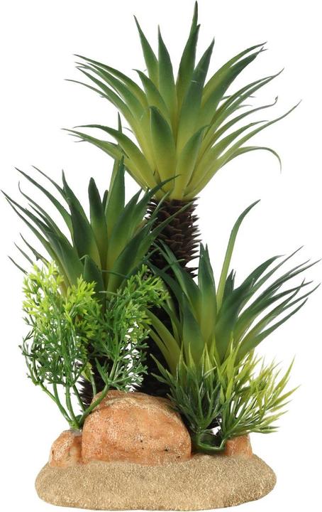 Actual product image EBI Aqua Della Sago Palm M (Embellishment, other items)