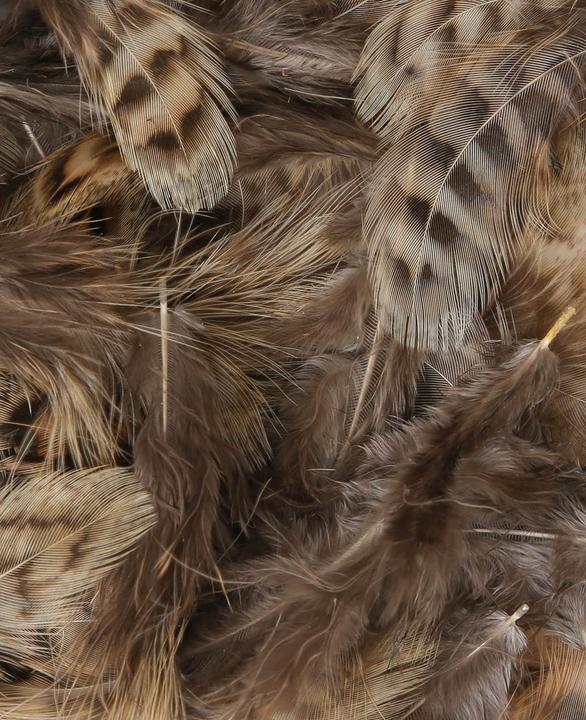 Actual product image I Am Creative Feathers mix