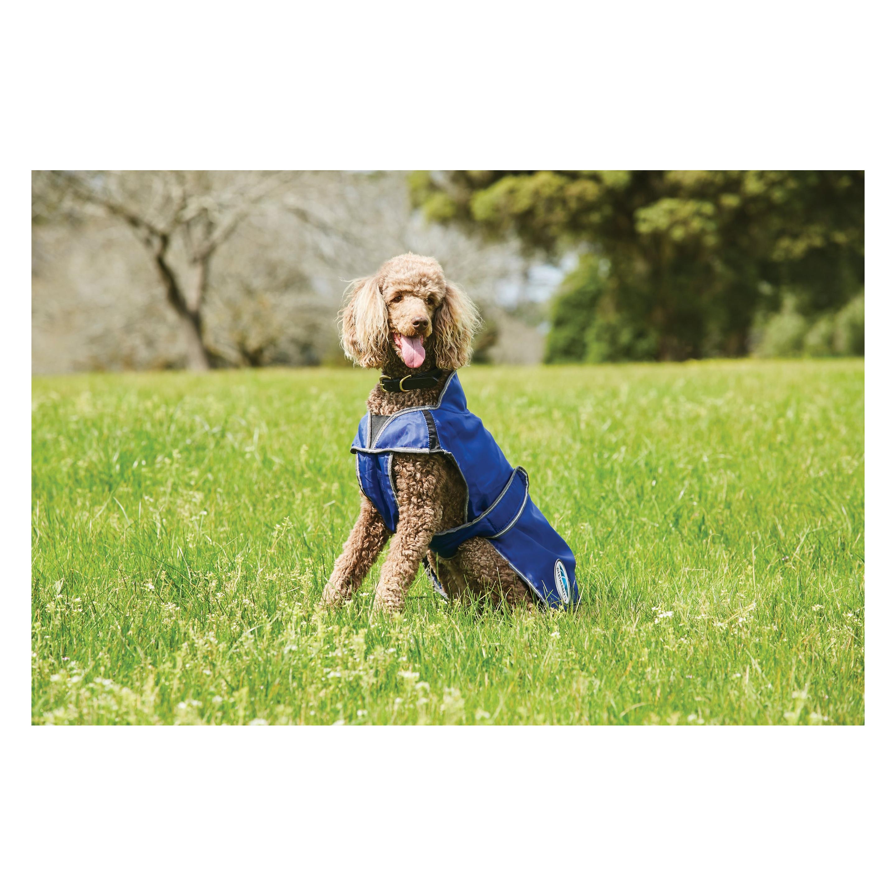 Weatherbeeta Comfitec Windjacke Für Hunde - Dunkelblau/Weiß/Grau, Wasserfest Mit Fleece-Futter