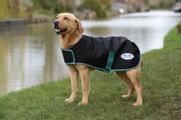 Actual product image Weatherbeeta Green-Tec 900D dog coat medium (25, Dog coat)