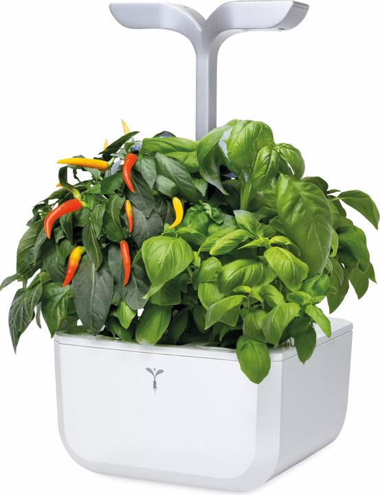 Véritable Töpfe EXKSY SMART weiss (20 cm)