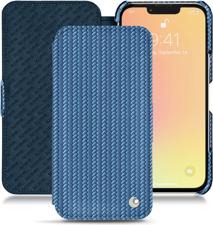 Abaca ishia ( Pantone #395775 )