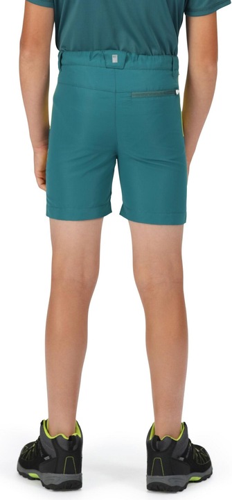 Actual product image Regatta Sorcer Ii Shorts (116)