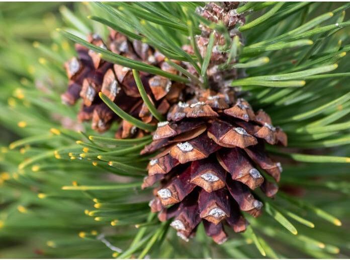 Produktbild Ravensburger GraviTrax Element Color Swap