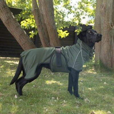 Siccaro RainForce 50 - (S2079) (Imperméable pour chien)