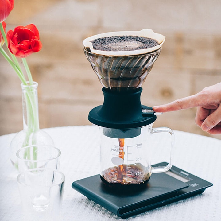 Immagine prodotto Hario Interruttore del gocciolatore a immersione (0.20 l)