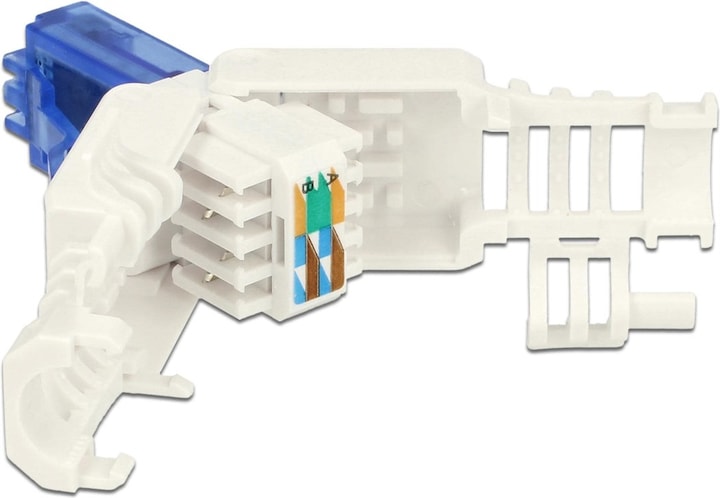 Productafbeelding Delock RJ45 stekker, UTP, Cat.6A, 2 stuks (Stekker netwerkkabel)