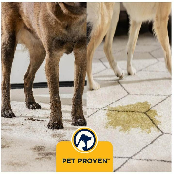 Actual product image Bissell PowerWash Hydrosteam