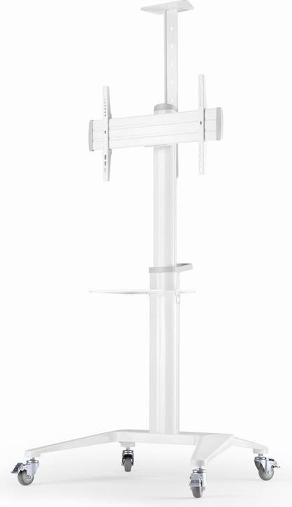 Productafbeelding Gembird Aluminium TV-vloerstandaard (70 kg, 37" - 70")