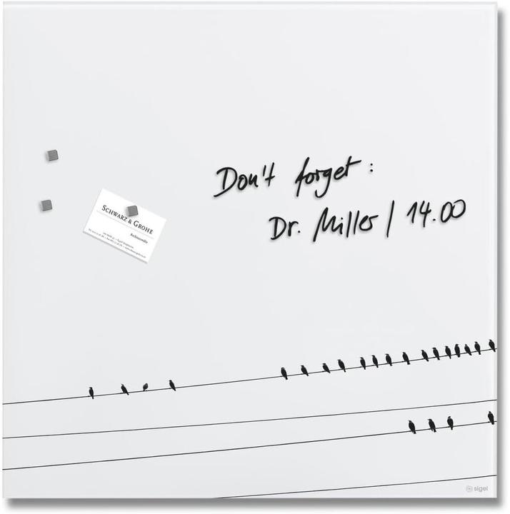 Actual product image Sigel Artverum (Magnet board, 48 x 48 cm)