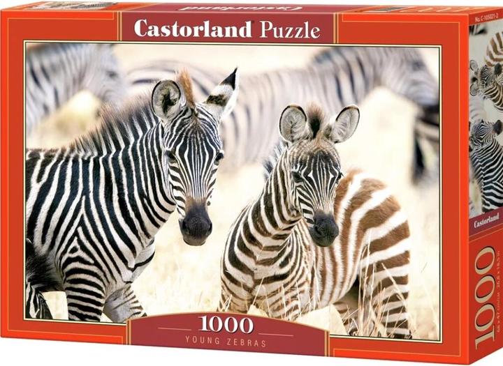 Immagine prodotto Castorland Puzzle 1000 elementi risaie in Vietnam (1000 pezzi)