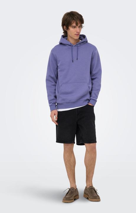 Produktbild Only & Sons Onsceres Hoodie Sweat Noos (M)