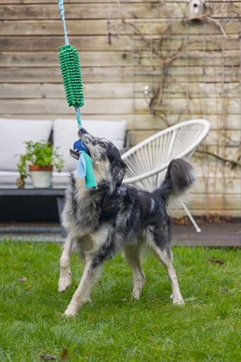 Produktbild Beeztees Ente (Ballspielzeug Hund)