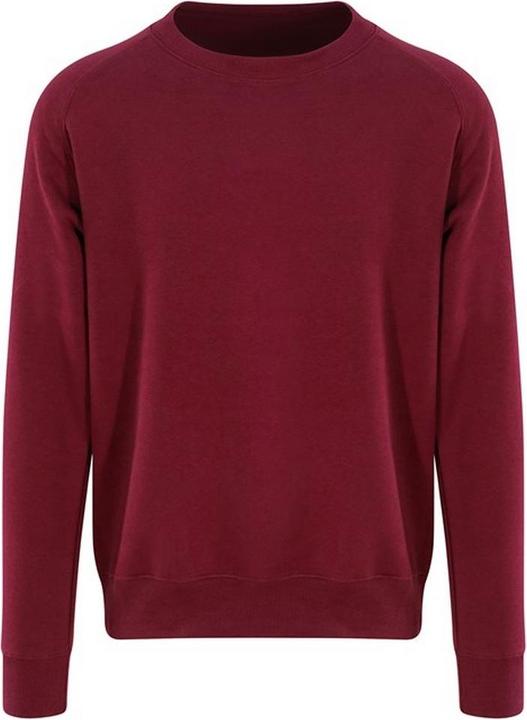 Image du produit Awdis - Sweat GRADUATE - Homme (3XL)