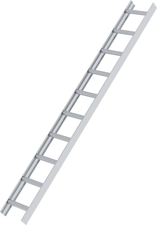 Produktbild Munk Dachleiter Alu Natur 10 Sprossen (280 cm)