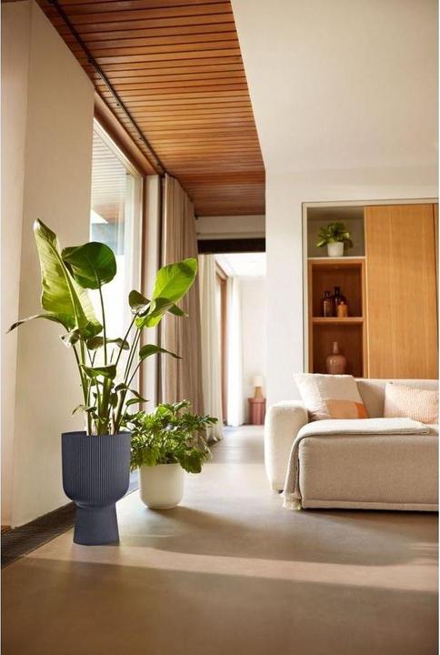 Image du produit Elho Vibes Fold Coupe (30 x 45 cm)
