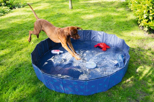 Actual product image Karlie Doggy
