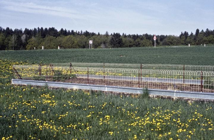 Produktbild Schnecken (Deutsch, Arthur Schnitzer, 2022)
