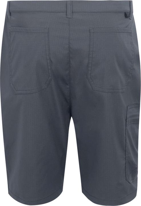 Actual product image Regatta Mens Dalry Multi Pocket Shorts (33)