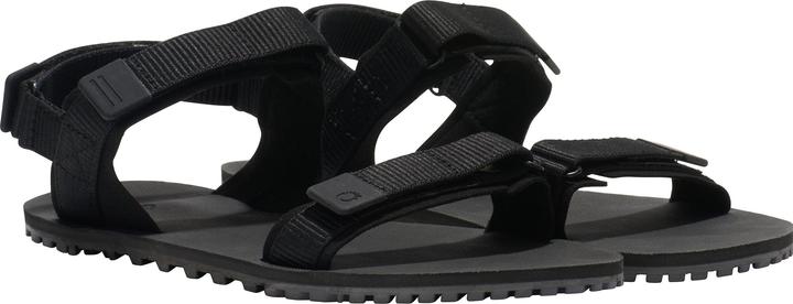 Actual product image Xero Shoes D-Trail (39.5)