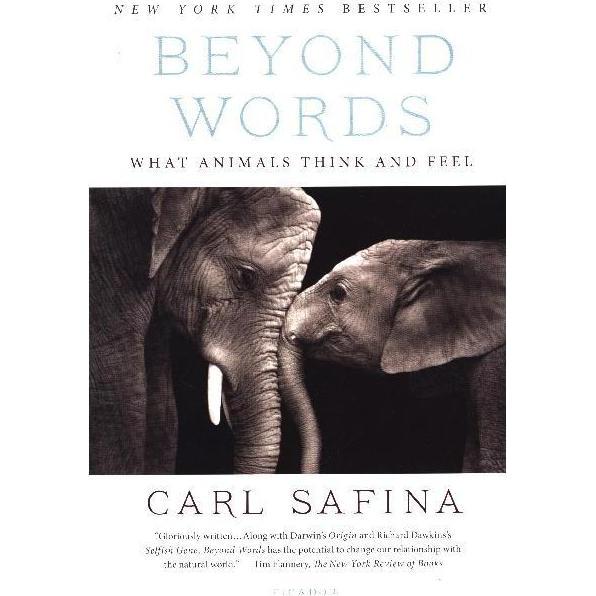 Safina:Beyond Words, Sachbücher von Carl Safina