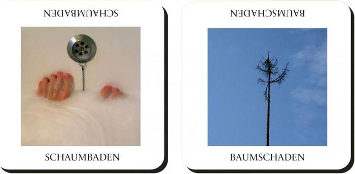 Actual product image Mixed doubles (German, 2 - 6 Players)