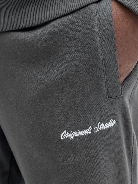 Actual product image Jack & Jones Plus Size Relaxed Fit Relaxed Fit Hosen Relaxed Fit Hosen (44)