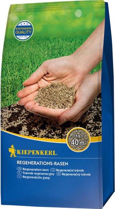Actual product image Kiepenkerl Lawn seed regeneration lawn 1 kg 40 m (Lawn reseed)