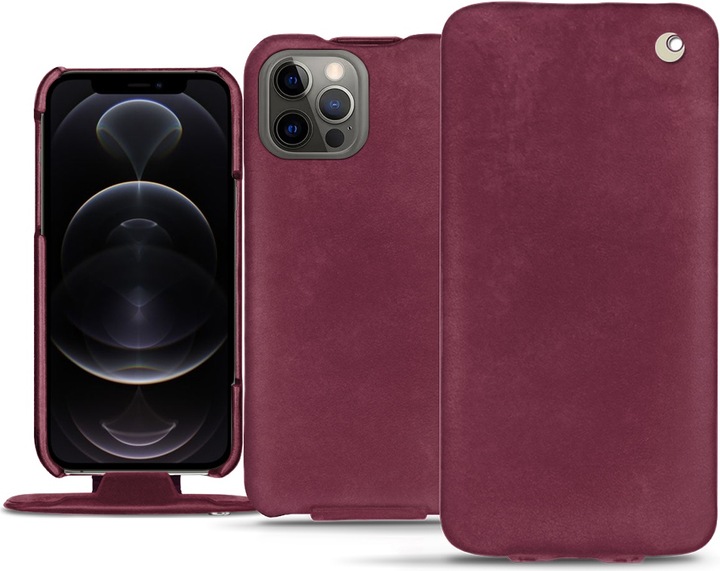 Prune vintage ( Pantone #612434 )