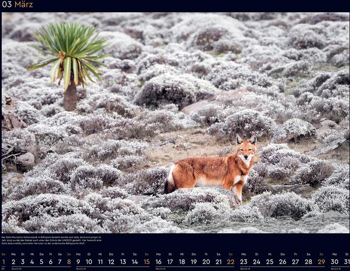 Produktbild Das Naturerbe der Welt - Wandkalender 2026 (60 x 45 cm, Harter Einband, Deutsch)