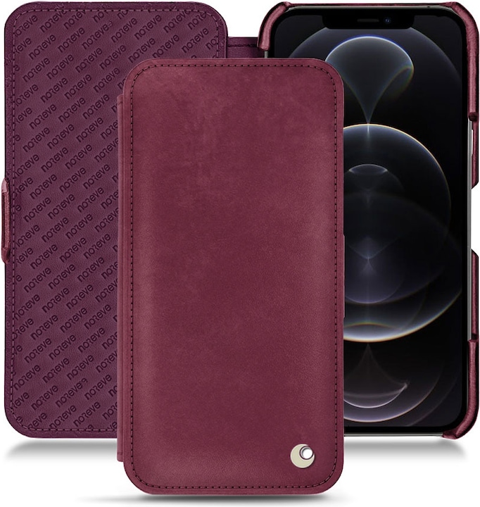 Prune vintage ( Pantone #612434 )
