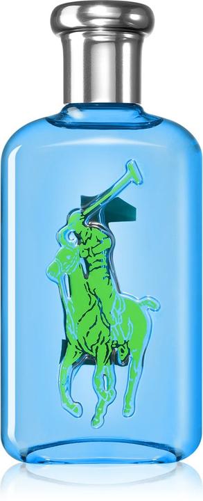 Ralph Lauren Big Pony 1