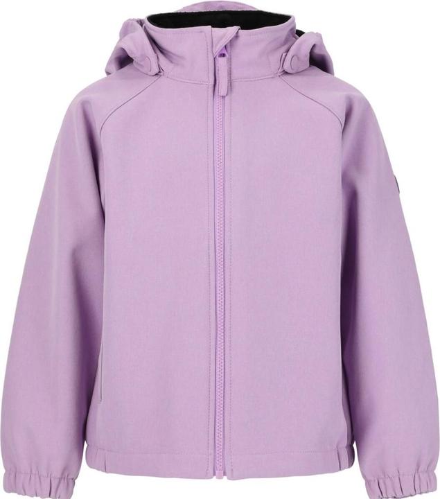 Lavendula