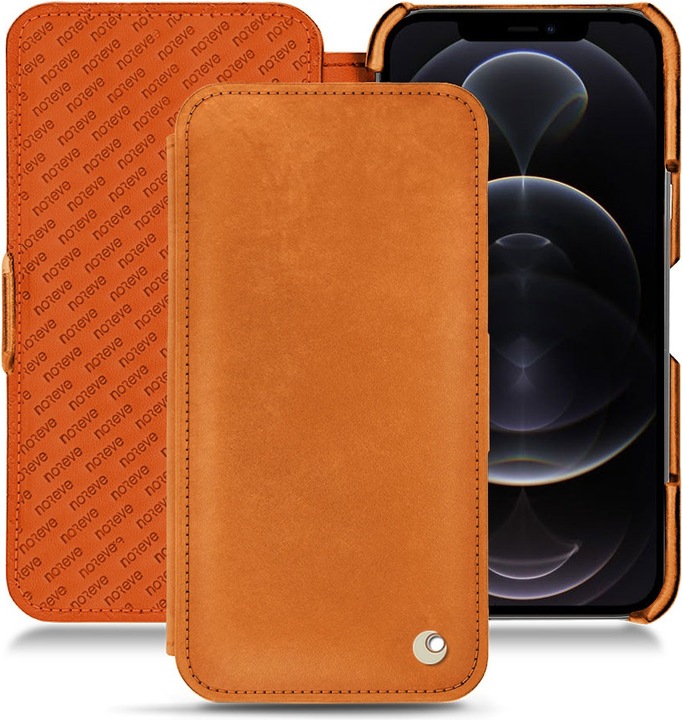 Mandarine vintage ( Pantone #d47231 )