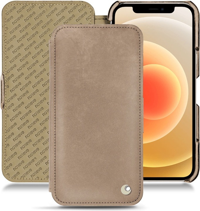 Taupe vintage ( Pantone #bda790 )
